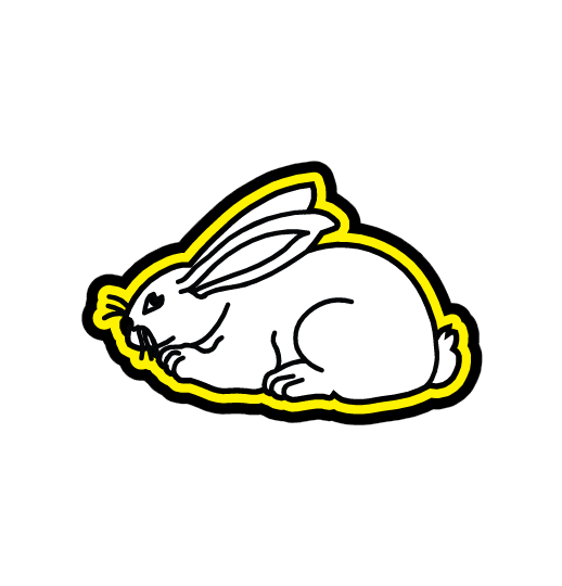 RABBIT
