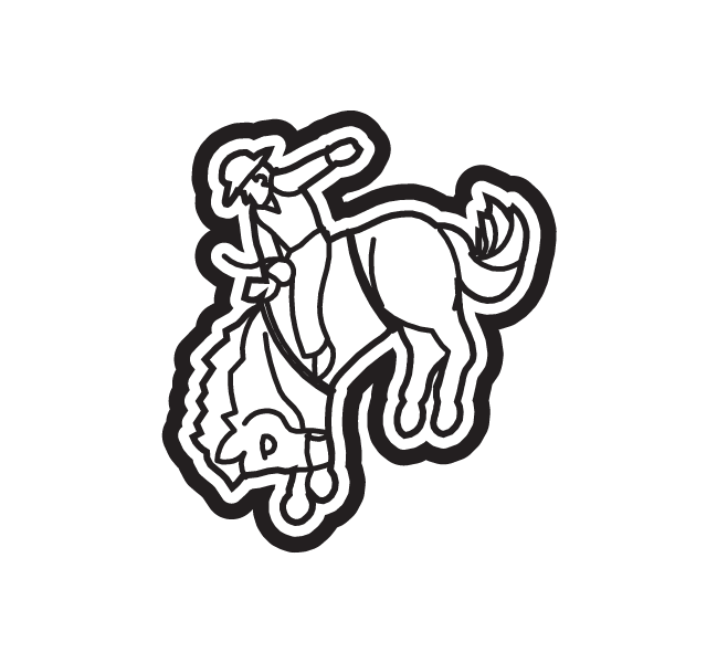 BAREBACK RIDER